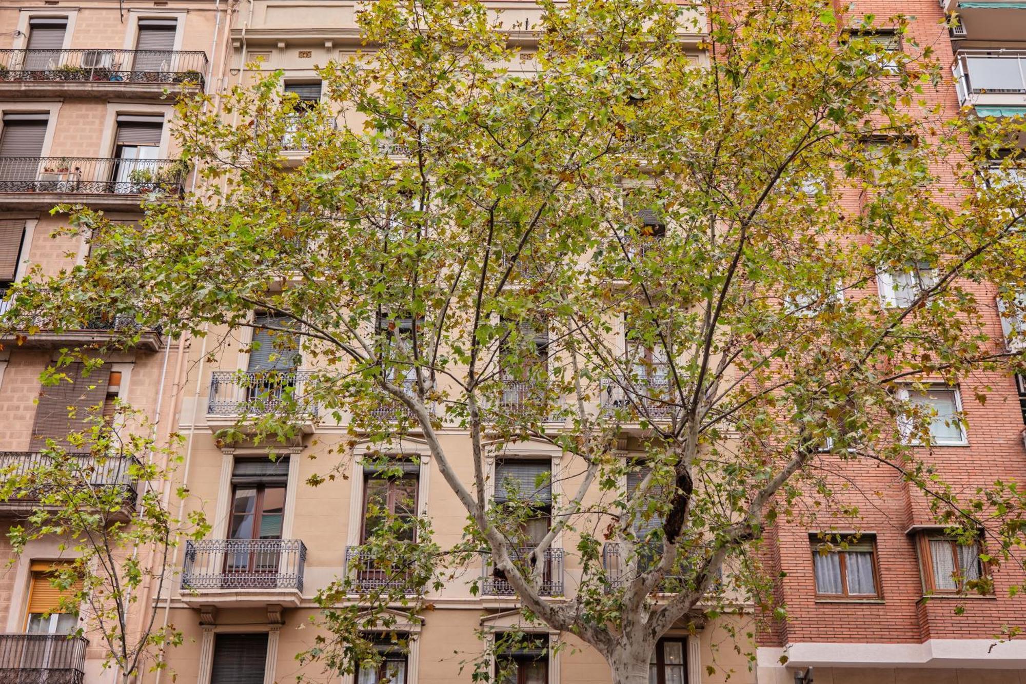 Sweett - Urgell Eixample Leilighet Barcelona Eksteriør bilde